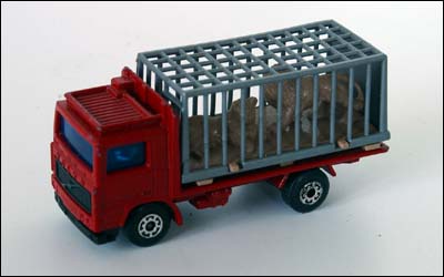 Model image